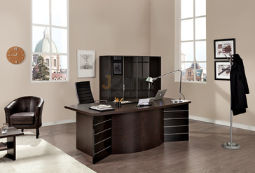 Кабинет руководителя Sirius